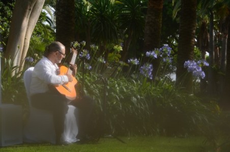 Mark Honeyman Wedding Guitarist